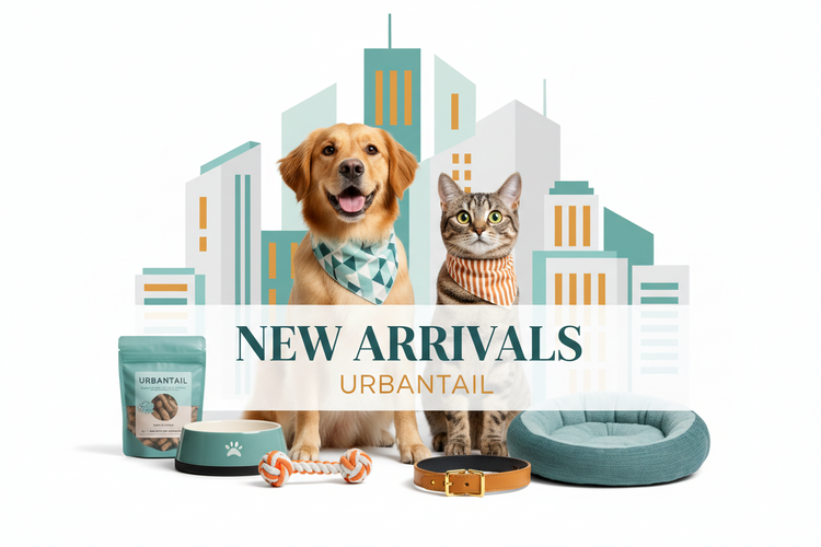 New Arrivals 🆕